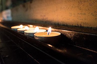 夏日狂欢来袭，《极限竞速：地平线5》享五折！ 